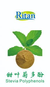 甜叶菊多酚：天然“甜+抗氧化”二合一”的健康新选择