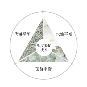 法珀：提供安全有效的头皮健康解决方案，实现长期健康主义